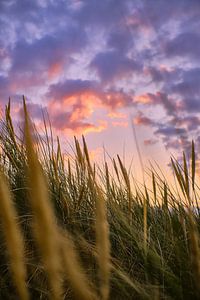 Sonnenuntergang in den Nordseedünen