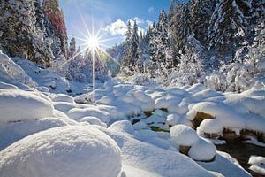 Winter am Zauchbach