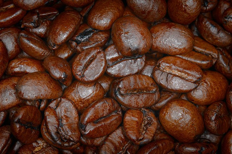 Kaffeebohnen von Farzad Madjdian