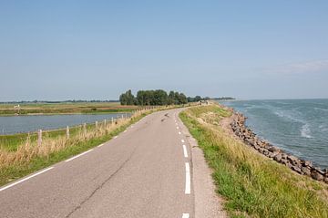 Zuiderdijk Schellinkhout van Richard Wareham
