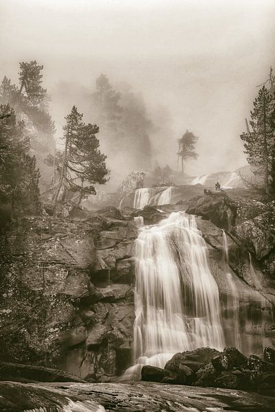 Moody by Lars van de Goor