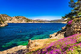 Beautiful coast of Port de Andratx, idyllic bay on Majorca island, Spain Mediterranean Sea by Alex Winter
