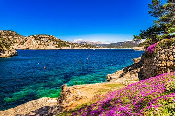 Mooie kust van Port de Andratx, idyllische baai op het eiland Mallorca, Spanje Middellandse Zee van Alex Winter