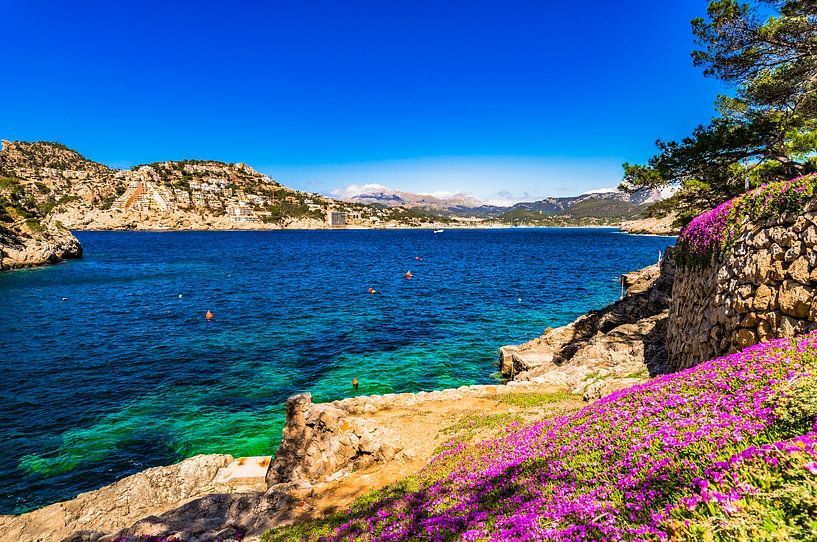 Beautiful coast of Port de Andratx, idyllic bay on Majorca island, Spain Mediterranean Sea by Alex Winter