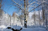 Winter in Beieren