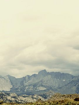 Bishop Mts. van Gemma Bardot