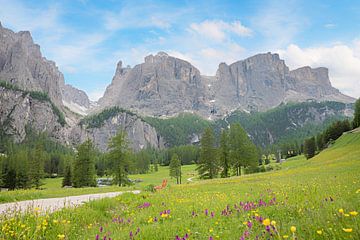 Wildblumenwiese Kolfuschg, Südtiroler Dolomiten Landschaft von SusaZoom