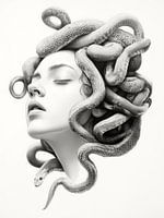 Medusa's metamorphosis - between myth and modernity