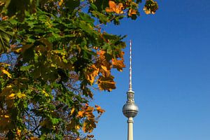 Fernsehturm Berlin mit Herbstbaum