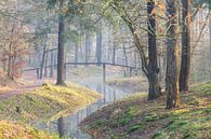 Magical morning on Heidestein estate! by Peter Haastrecht, van thumbnail