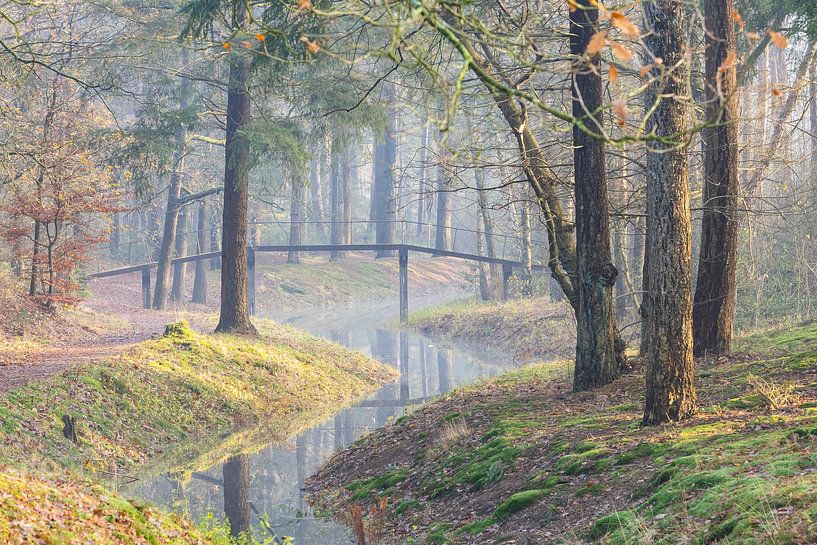Magical morning on Heidestein estate! by Peter Haastrecht, van
