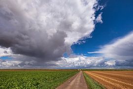 Reiderwolderpolder VIII by Fonger de Vlas