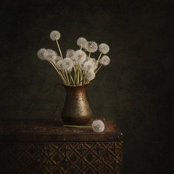Paardenbloem