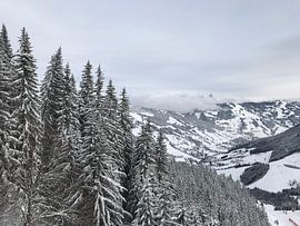 Weiße Welt von Floor Gordinou de Gouberville