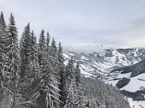 White world Austria - Saalbach-Hinterglemm