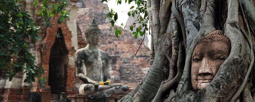 Buddha von Michael Hahn