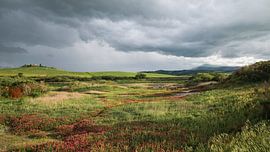 Toskanische Landschaft von Zehava Perez