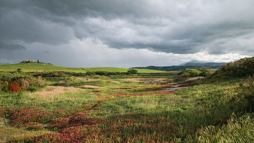 Tuscan landscape