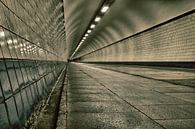 tunnel vision by Jo Beerens thumbnail