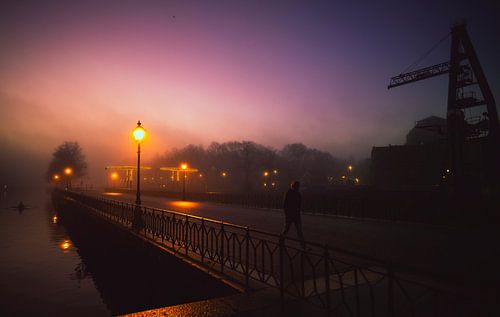 Das Münzschloss und der alte Kranich