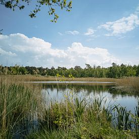 Schwimmbad in Weerterbos von ESB-Fotografie