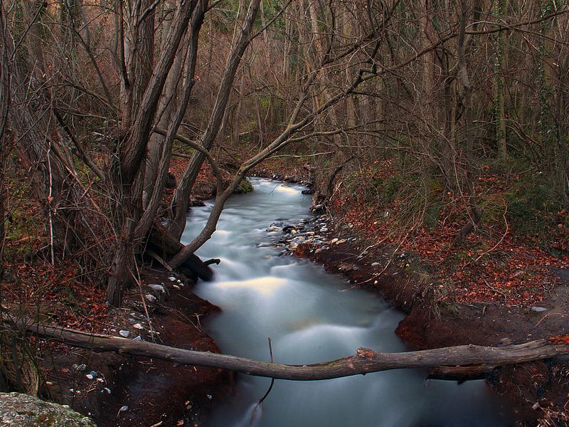 La rivière d'automne par Cornelis (Cees) Cornelissen