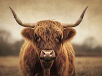 Le regard des Highlanders - L'âme des Highlands - Scottish Highlander