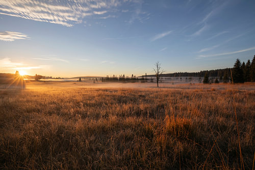 Gouden ochtendstilte boven het Frühbußer Moor in het Ertsgebergte