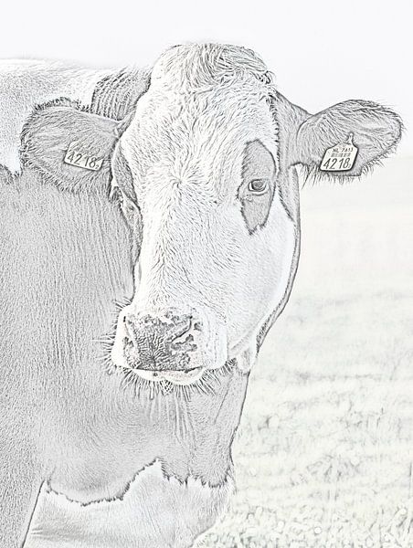 Photo art Vache dans le pré par Jan Poppe