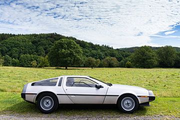 Delorean, oldtimer, classic car in nature, hilly landscape