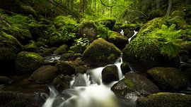 Triberg Waterfalls #2, Black Forrest, Germany by Gerhard Niezen Photography
