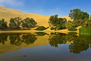 Die Oase von Huacachina, Peru von Henk Meijer Photography