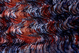 COLOR CRASH 10 sur Miroslav Ptacek