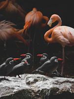 Flamingo Kunst