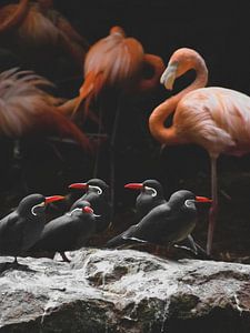 Flamingo-Kunst