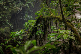 Costa Rica – wo Natur, Abenteuer und pure Schönheit aufeinander treffen