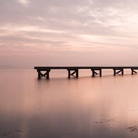 Steiger in het Veerse Meer sur Annemiek Gijsbertsen