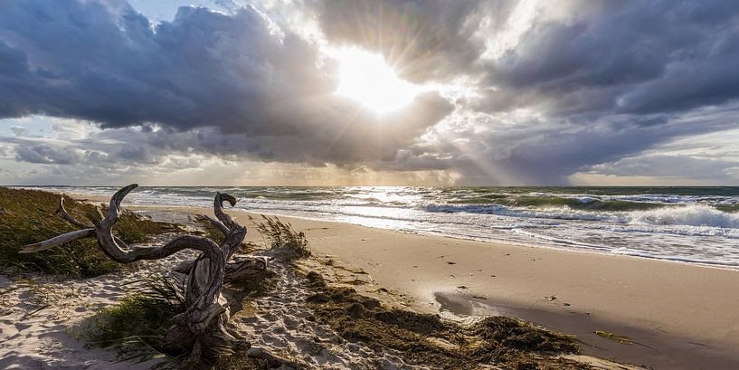 Panorama Darßer Weststrand, Darß bei Prerow, Ostsee von Werner Dieterich