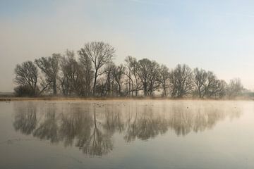 Sich spiegelnde Bäume am Teich von Moetwil en van Dijk - Fotografie