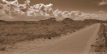 Hiking trail in Zandvoort by Jose Lok