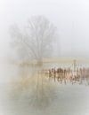 Misty morning on the river bank. by Gerard Wielenga thumbnail