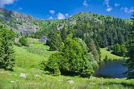 Vogesenlandschaft am Lac de Forlet von Tanja Voigt