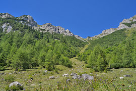 An alpine valley with lush forests and a brilliant blue sky by Tomherkules