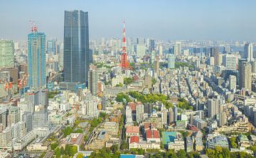 Tour de Tokyo - Japon sur Marcel Kerdijk