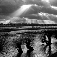 Lek, water & licht 4