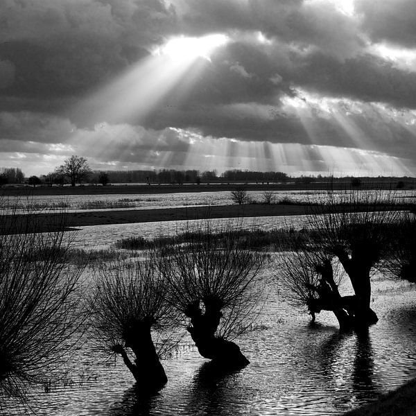 Lek, water &amp; licht 4 van Gerard Streng