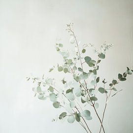 Eucalyptus branches by Poster Art Shop