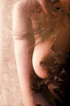 Het wachten door het venster