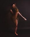 Ballerina in motion with slower shutter speed 05 by FotoDennis.com | Werk op de Muur thumbnail