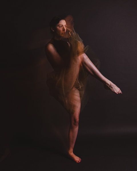 Ballerina in motion with slower shutter speed 05 by FotoDennis.com | Werk op de Muur